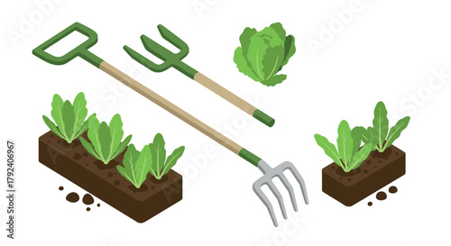 Isometric gardening tools and lettuce plants for home gardening projects