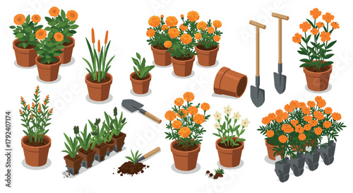 Isometric garden setup with orange flowers and tools in pots