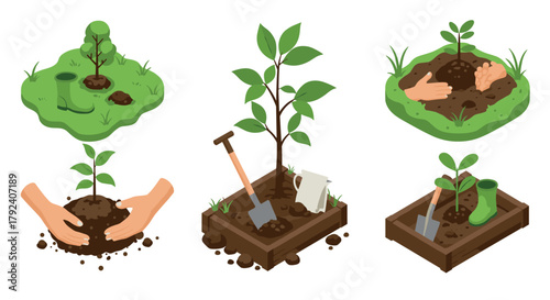 Planting and gardening isometric design with hands, tools, and seedlings in green environment