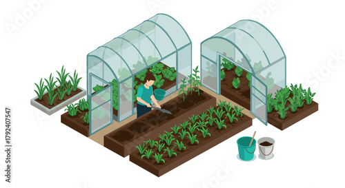 Isometric greenhouse farming scene with gardener planting and watering in organic garden