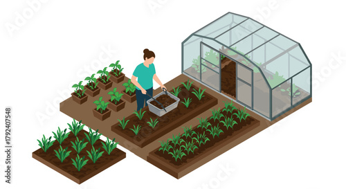 Isometric urban gardening greenhouse and planting concept