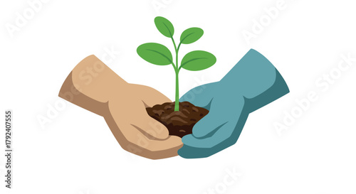 Hands nurturing a growing plant sapling in soil