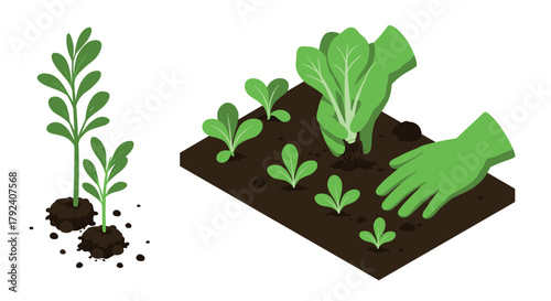 Isometric gardening planting seedlings with green gloves and young sprouts