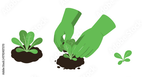Gardening with green gloves flat style seedling planting and growth concept