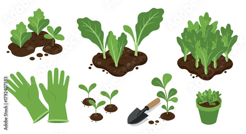 Gardening essentials flat design of green plants and tools