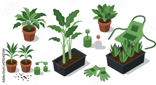 Gardening essentials isometric indoor plants and tools collection