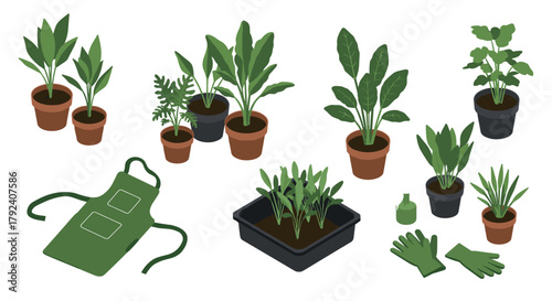 Gardening essentials potted plants, tools, and green thumb gear for indoor and outdoor spaces