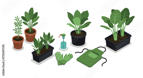 Isometric garden tools and houseplants on white background
