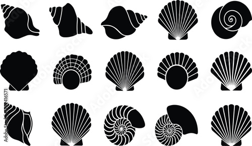 Seashell silhouette collection, marine mollusk shapes, ocean coastal illustration set, beach nature design elements, sea life vector art graphics
