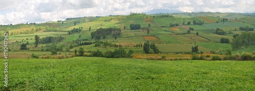 panorama landscape of farm in the countryside