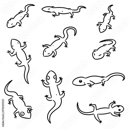 vector set of lizards cartoon