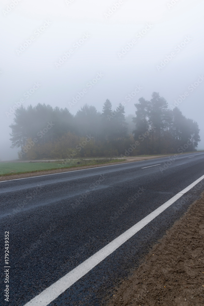 Fototapeta premium paved road in the autumn season in cloudy weather with fog, highway with poor visibility due to fog