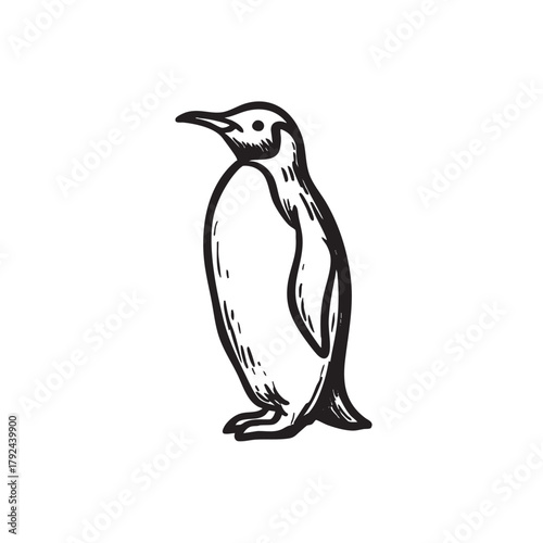 Sketch of a standing penguin with some shading lines.