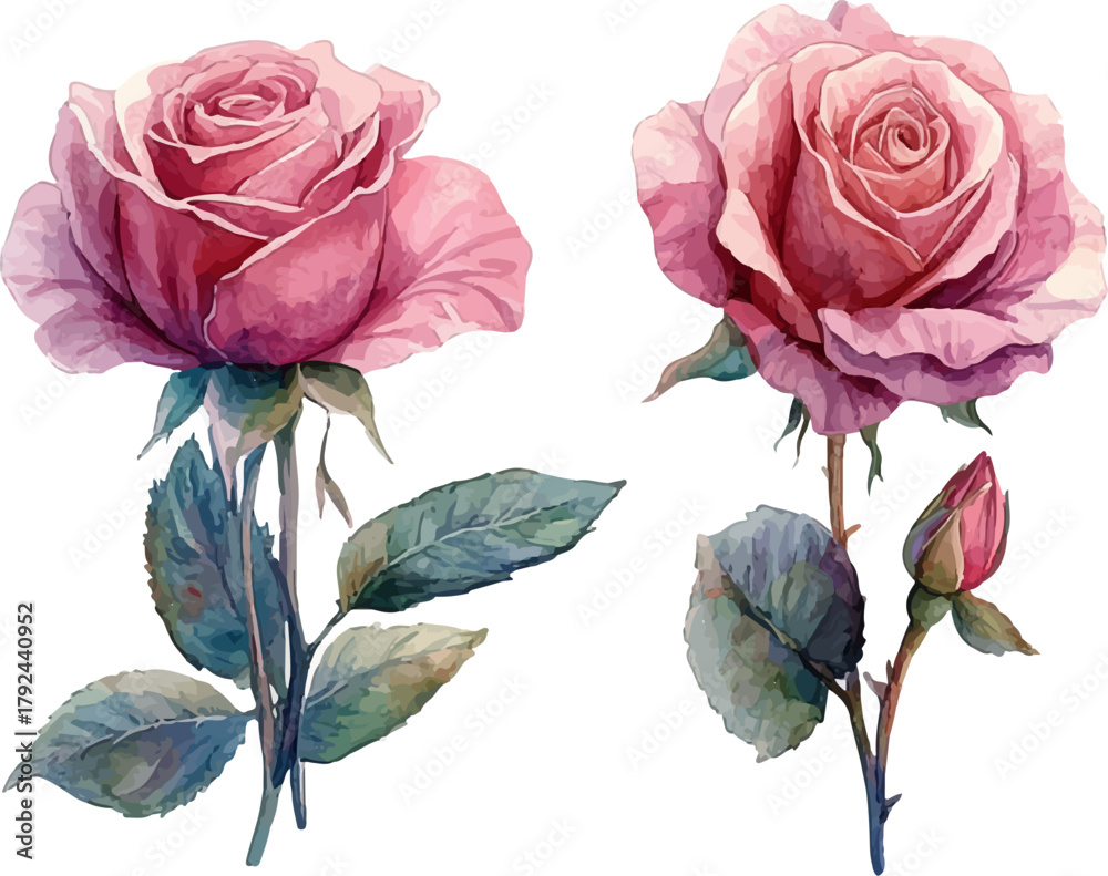 Fototapeta premium bouquet of pink roses