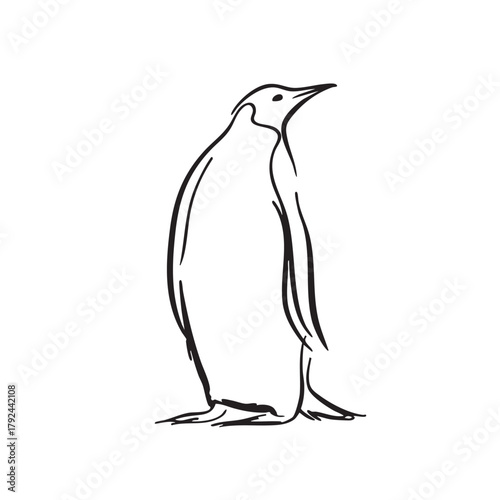 A simple line sketch of an emperor penguin standing