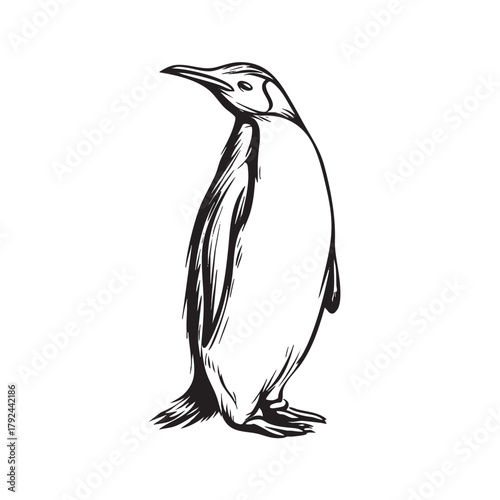 A black and white line sketch of a standing penguin.
