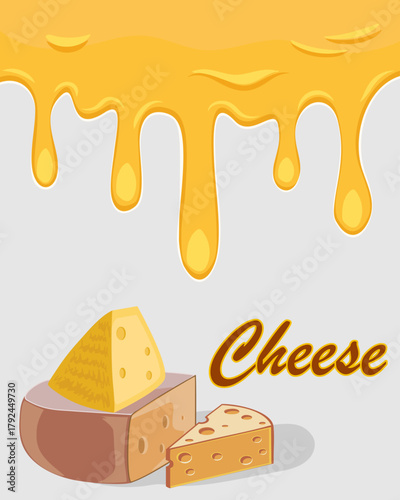 Pieces of cheese and cheese drips on a light background.Vector illustration with pieces of cheese and dripping cheese wonton on white background with text.