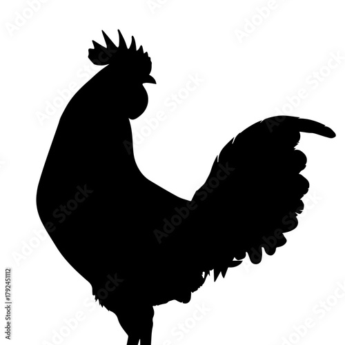 A striking black silhouette of a proud rooster, captured in profile against a stark white background, highlighting its majestic form and distinctive features