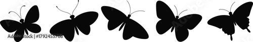 Butterfly silhouettes, wing variations, insect shapes, black outlines, nature illustration, flying pose, species diversity, artistic design, graceful form, decorative element