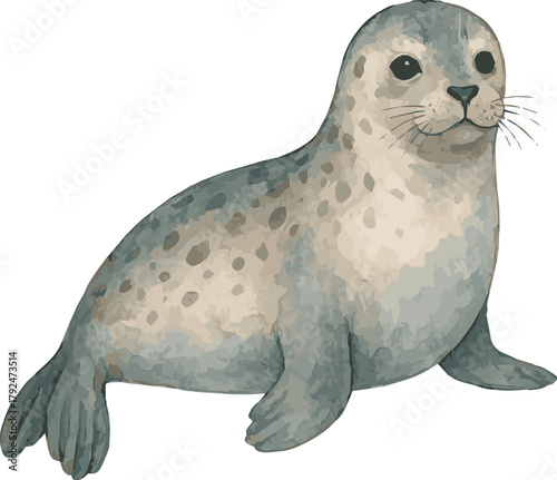 watercolor realistic illustrated one llama on white background