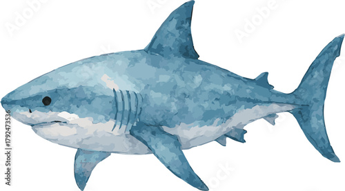 Vector illustration of a blue shark