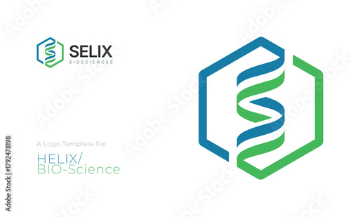 Selix BioScience Logo — DNA Helix and Hexagon Symbol for Research, Lab, and Biotechnology Firms