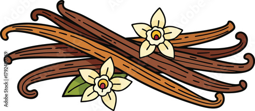 Vanilla Pods and Flowers Illustration with Brown and Tan Colors on White Background