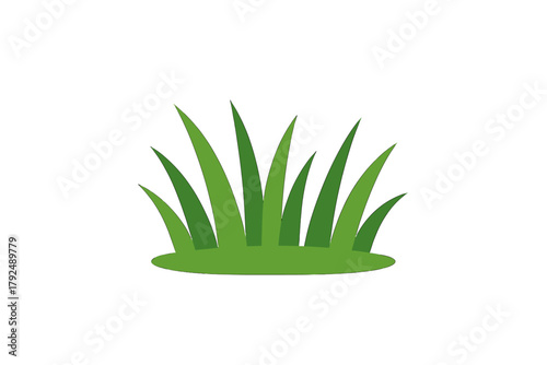 Fresh green grass patch isolated on white background symbolizing spring and nature