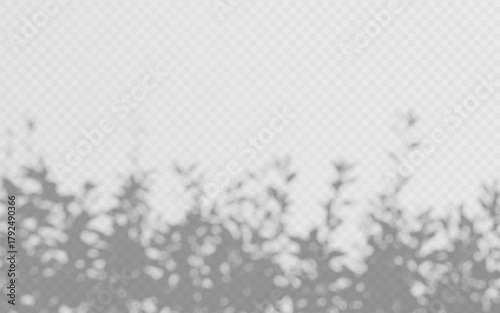 Shadow overlay shrub on transparent background. Shade hedge vector effect