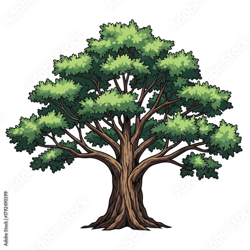 Majestic Mature Tree Illustration with Lush Green Canopy and Strong Trunk