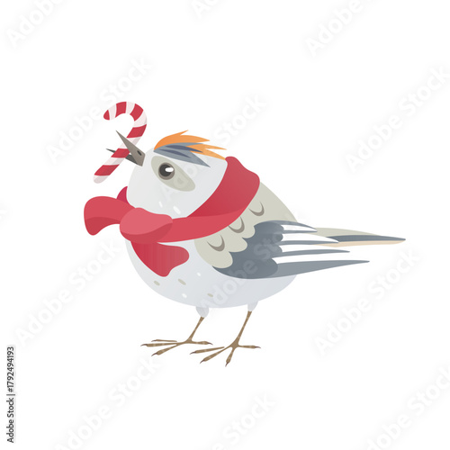 Pretty kinglet and a candy cane. Little bird with a crest in a warm red scarf. Cute vector character in winter season. Perfect for Christmas cards, holiday decorations, stickers, and festive designs.