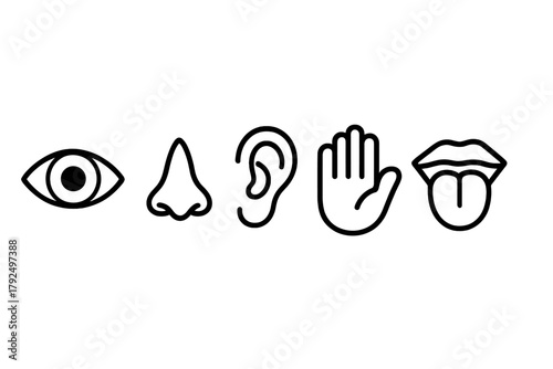 Outline icons representing the five human senses: sight, smell, hearing, touch, and taste