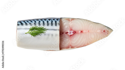 Top Down View of a Fresh Cut Mackerel with Dill on a Transparent Background