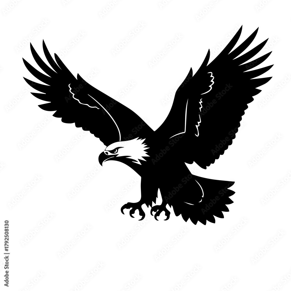 Obraz premium Black silhouette of eagle soaring with spread wings