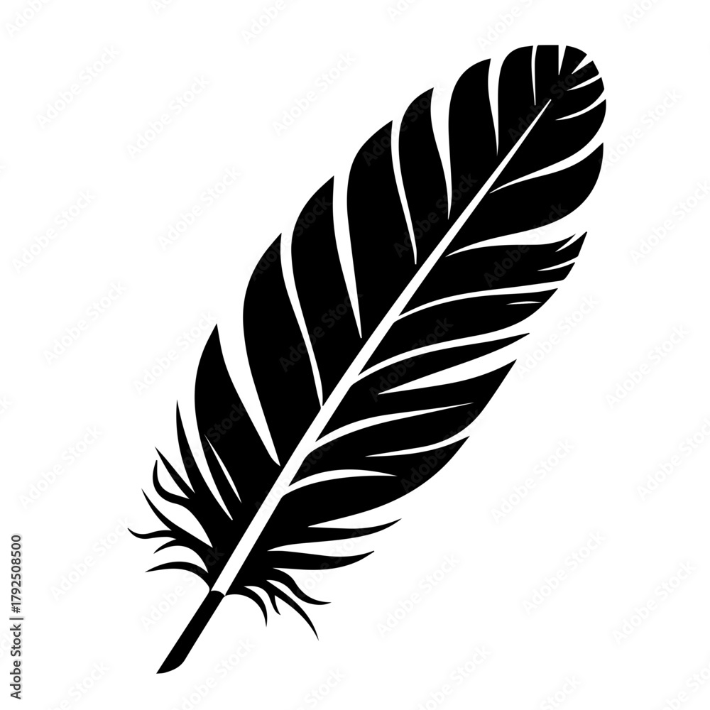 Obraz premium Black feather silhouette on white background 