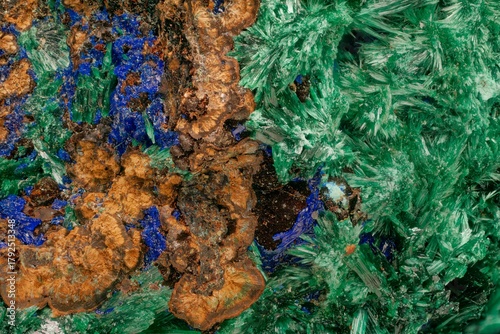 Kamenushinskoe copper minerals microphoto — professional macro and micro mineral photography. Diverse crystal forms: acicular azurite, radiating malachite, botryoidal limonite, granular chalcopyrite