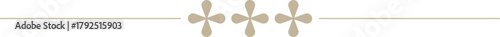 Indian Minimalistic Floral Motif text divider	
