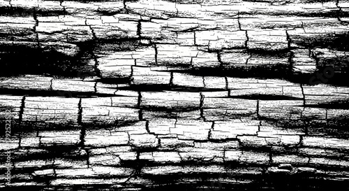Charred Wood Texture: A Study in Black and White.