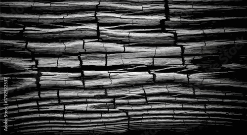 Close up of cracked burnt wood texture background.