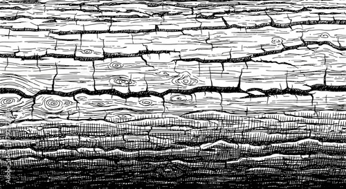 Close up of charred wood texture with deep cracks.