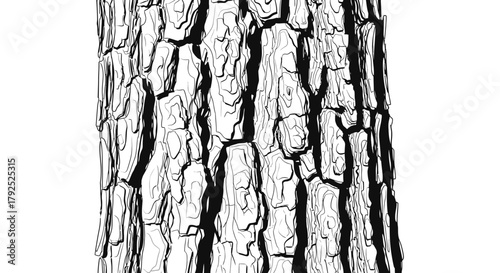 Detailed illustration of rough tree bark texture in black and white.