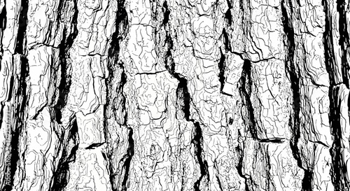 Detailed Close Up Texture of Rough Tree Bark.