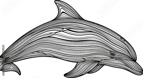 Detailed Line Art of a Dolphin Swimming Gracefully.
