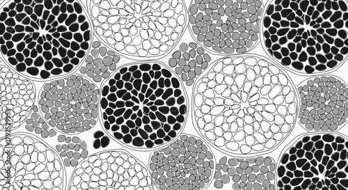 Abstract monochrome pattern of stylized circular floral elements.