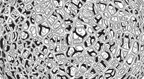 Abstract Black and White Cellular Pattern.