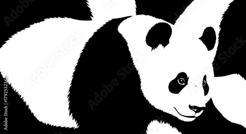 Giant Panda Bear Close Up Black and White Illustration.