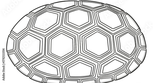 Detailed Outline Drawing of a Turtle Shell Pattern.