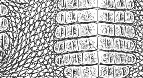 Detailed Crocodile Skin Pattern Close-Up in Black and White.