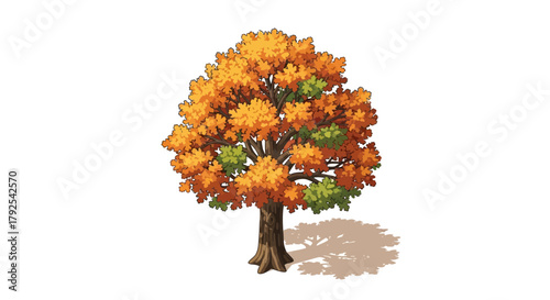 Isolated stylized tree with autumn foliage and early signs of changing leaves