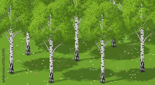 Serene birch forest scene with vibrant green canopy and flowering meadow